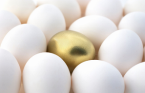golden egg with life insurance