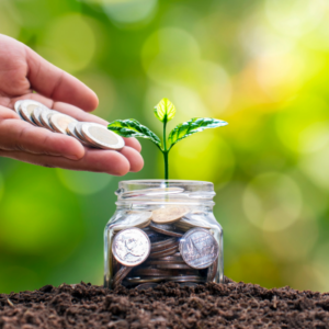 investment shown through coins in a jar and a plant growing from the jar